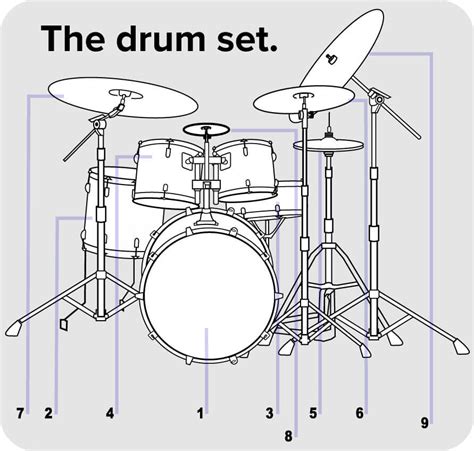 types  drums  guide  novice  professional drummers