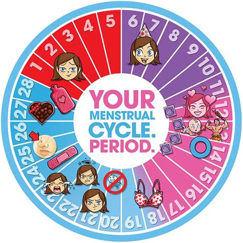 map your menstrual cycle day by day steven and chris