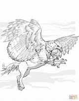 Coloring Pages Hippogriff Griffin Dnd Centaur Griffon Printable Getdrawings Dragons Dungeons Sketch Template Categories Drawing sketch template