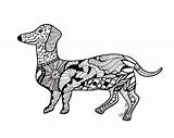 Coloring Pages Weimaraner Getdrawings sketch template