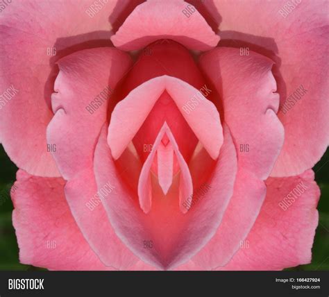 Pink Vulva Geometric Image And Photo Free Trial Bigstock