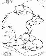 Bear Coloring Polar Baby Pages Bears Their Color Mother Colouring Kidsplaycolor Printable Getcolorings Kids Animal Forest Print Animals Farm sketch template