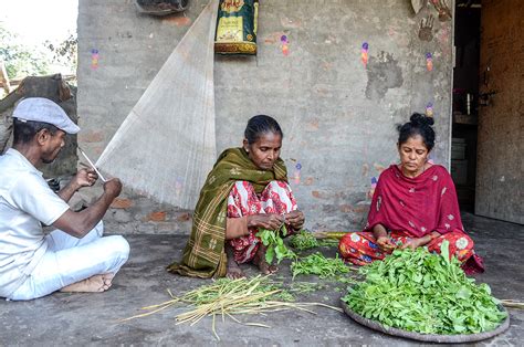 nepal sex workers struggle to leave industry as government aid declines the seattle globalist