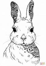 Dementia Patients Zentangle Hase Rabbits Honeycombe Hare sketch template