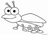 Coloring Bug Pages Bugs Insects Printable Kids Template Designlooter 508px 54kb sketch template