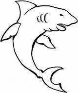 Coloring Pages Marine Shark Animals Animal Attack sketch template