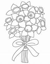 Narcissus Bouquet Coloring sketch template