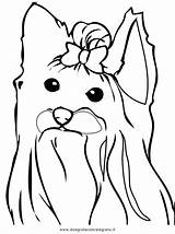Coloring Pages Yorkie Terrier Drawing Dog Line Female Puppy Printable Cairn Beautiful 1e45 Yorkshire Color Highland West Getcolorings Getdrawings Print sketch template