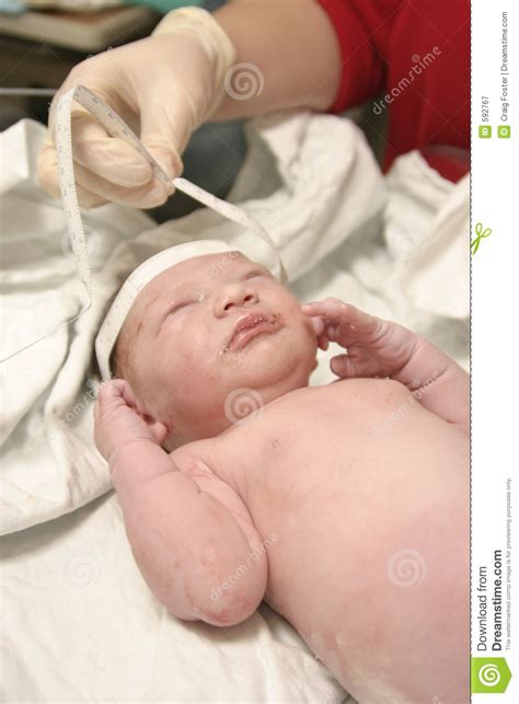 measuring  newborn stock image image  beginning love