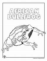 Bullfrog Coloring Getcolorings Woo African Getdrawings sketch template