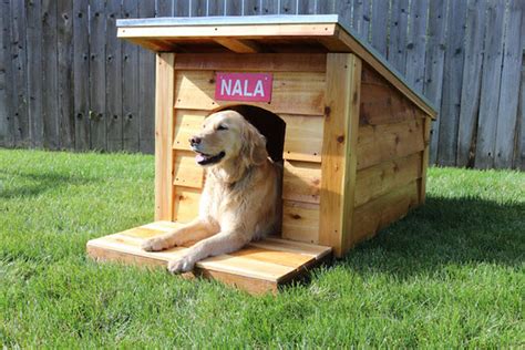 siberian husky dog house plans house design ideas