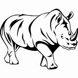 Rhinoceros Coloring4free Outlines Rhino Clipartmag Rinoceronte Arty sketch template