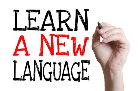 age  start learning   language blog