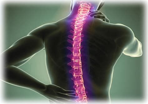 Spinal Cord Injury Due To Car Construction Or Falling Accident Best