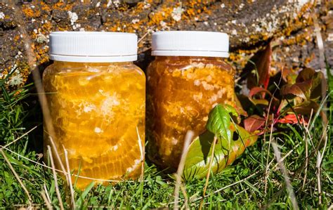 clover honey in honeycomb honey by wrights