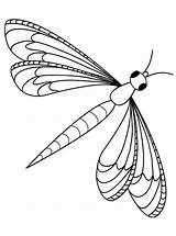 Libelle Libellen Ausmalbild Malvorlage Kleurplaten Dragonflies Libel Dragonfly sketch template