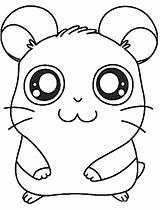 Hamster Desenhos Coloriage Animal Fofinhos sketch template