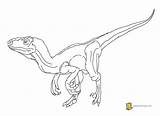 Velociraptor Coloring Pages Raptor Jurassic Blue Husband Printable Wife Dinosaur Color Getcolorings Getdrawings Colorin Clipart Dino Colorings Library Popular Sketch sketch template
