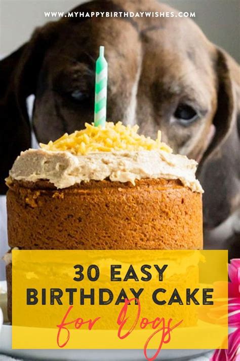 birthday cake  dogs  easy doggie birthday cake ideas  dog