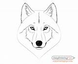 Wolf Draw Face Ears Step Drawing Head Fur sketch template