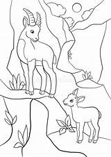Ibex Coloring Stambecco Baby Sveglio Piccolo Weinig Leuke Coloritura Haar Kleurende Corni Grandi Steenbok Glimlachen Vectors sketch template