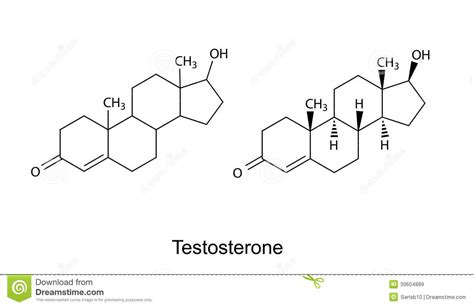 Structural Formulas Of Testosterone Molecule Stock Vector
