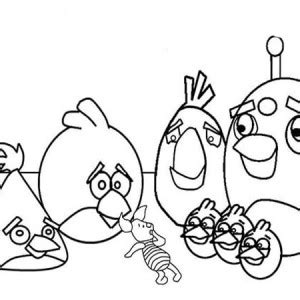 pink bird  angry bird coloring page kids play color