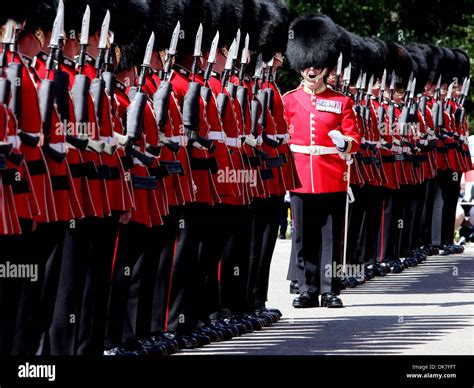 grenadier guards  res stock photography  images alamy