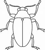 Coloring Beetles Drawings 46kb sketch template