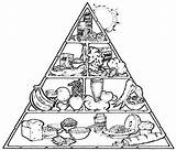 Alimentos Piramide Alimentar Alimenticia Saludables Imagui Pirámide Pintar Ciclo Rueda Cfa sketch template