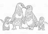 Kolorowanka Zentangle Pingwiny Kolorowanki Penguins Arktis Druku Colorazione Emperor Rodziny Rysunek Szkicu Pagina Antistress Parati Cesarza Samodzielnie Bialym Corgi Psa sketch template