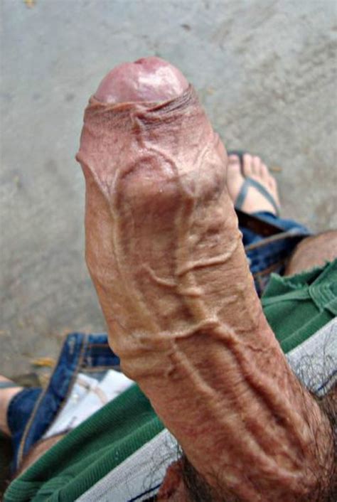 thick veiny cocks tumblr