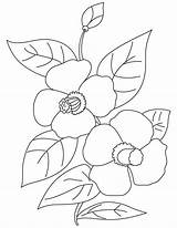 Bestcoloringpages sketch template