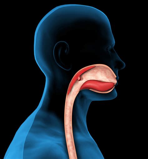 Dealing With Dysphagia A Difficult To Swallow Condition University