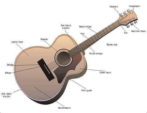 diagrams steaming guitarcom