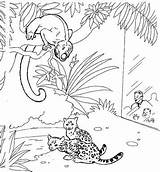 Zoo Dierentuin Fun Kids Coloring Pages sketch template