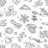 Spices Pattern Doodle Herbs Spice Hand Drawn Vector Drawing Seamless Fresh Thehungryjpeg Paintingvalley sketch template