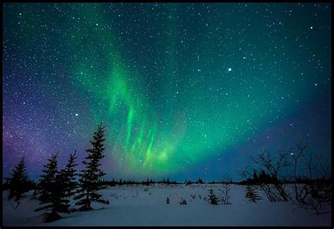 arctic aurora borealis by david marx via flickr