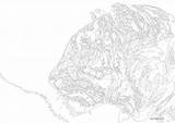 Tiger Ausdrucken Zahlen Erwachsene Kostenlos Acryl sketch template