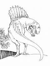 Spinosaurus Theropod Dinosaur Supercoloring sketch template
