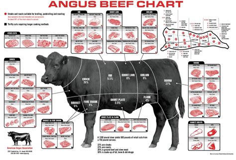 beef cattle diagrahm beef cuts diagram meat cuts chart carne angus
