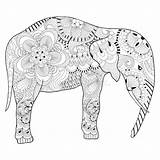 Elephant Mandala Antistress Zentangle Olifant Elefante Getrokken Volwassen éléphant Adulti sketch template