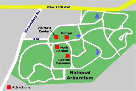 rebuilding place   urban space local parks planning  usdas national arboretum