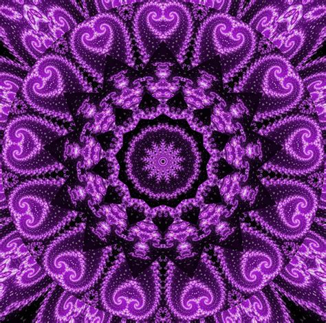purple design  mayam  deviantart
