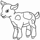 Fazendinha Smiles Spotted Goatling Stands Ferme Faça 123rf Enregistrée sketch template