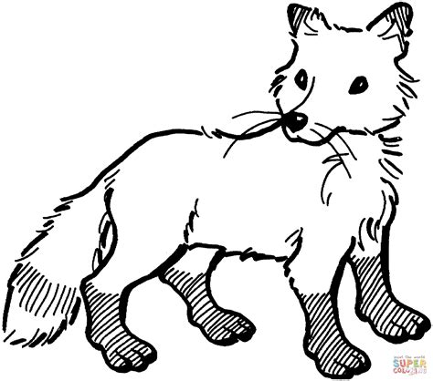 fox coloring pages pictures infortant document
