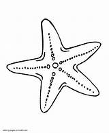 Sea Star Coloring Pages Starfish Drawing Printable Animals Animal Invertebrates Print Stars Patrick Ocean Getdrawings Visit Live sketch template