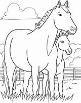 Coloring Pages Farm Animal Pony Horse Colouring Horses Sheets Baby Bestcoloringpagesforkids Animals sketch template