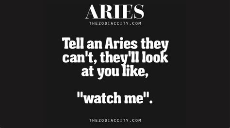 Aries Zodiac Sign 25 Things To Know About The Ram