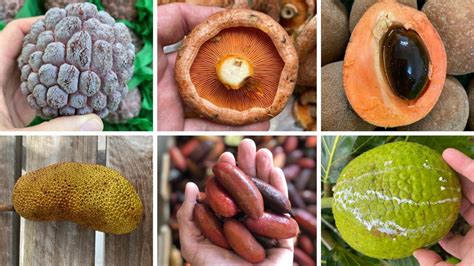 Fruit And Vegetables The Exotic New Foodie Finds Coming
